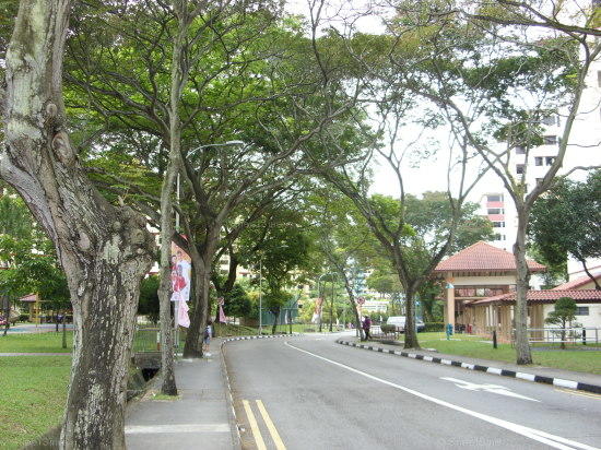 Ho Ching Road #80952